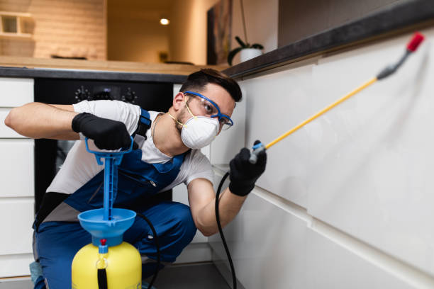 Best Pest Prevention Services  in El Rio, CA