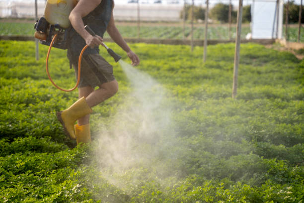Best Pest Control Cost  in El Rio, CA