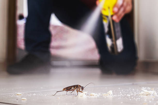 Best Cockroach Control Services  in El Rio, CA